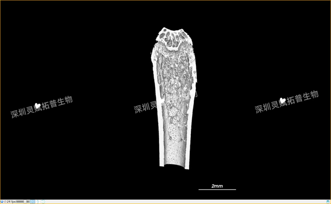 2f69baf5-2035-497b-9745-8d18dde4f2f7.png