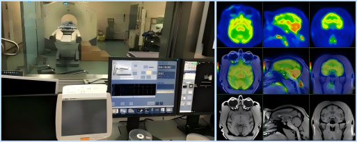 大动物PET CT.png
