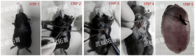 3cfc3152d0dcb7ba56efa268d4cd0a09.png