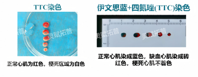 WPS拼图0.png