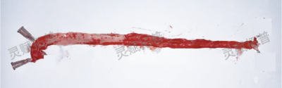 0f67a07cb5105875b613f37d9fdf1457.png