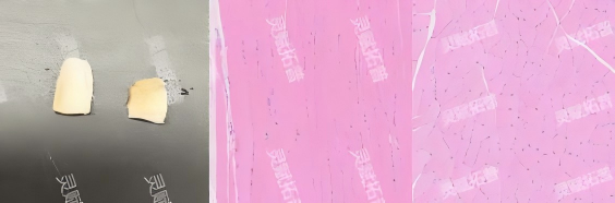 7.png