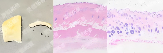 9.png