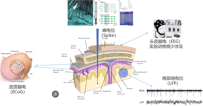 image11.png