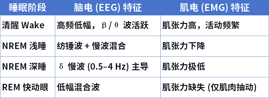 88d983ea8a857d9c360abe48331bed12.png
